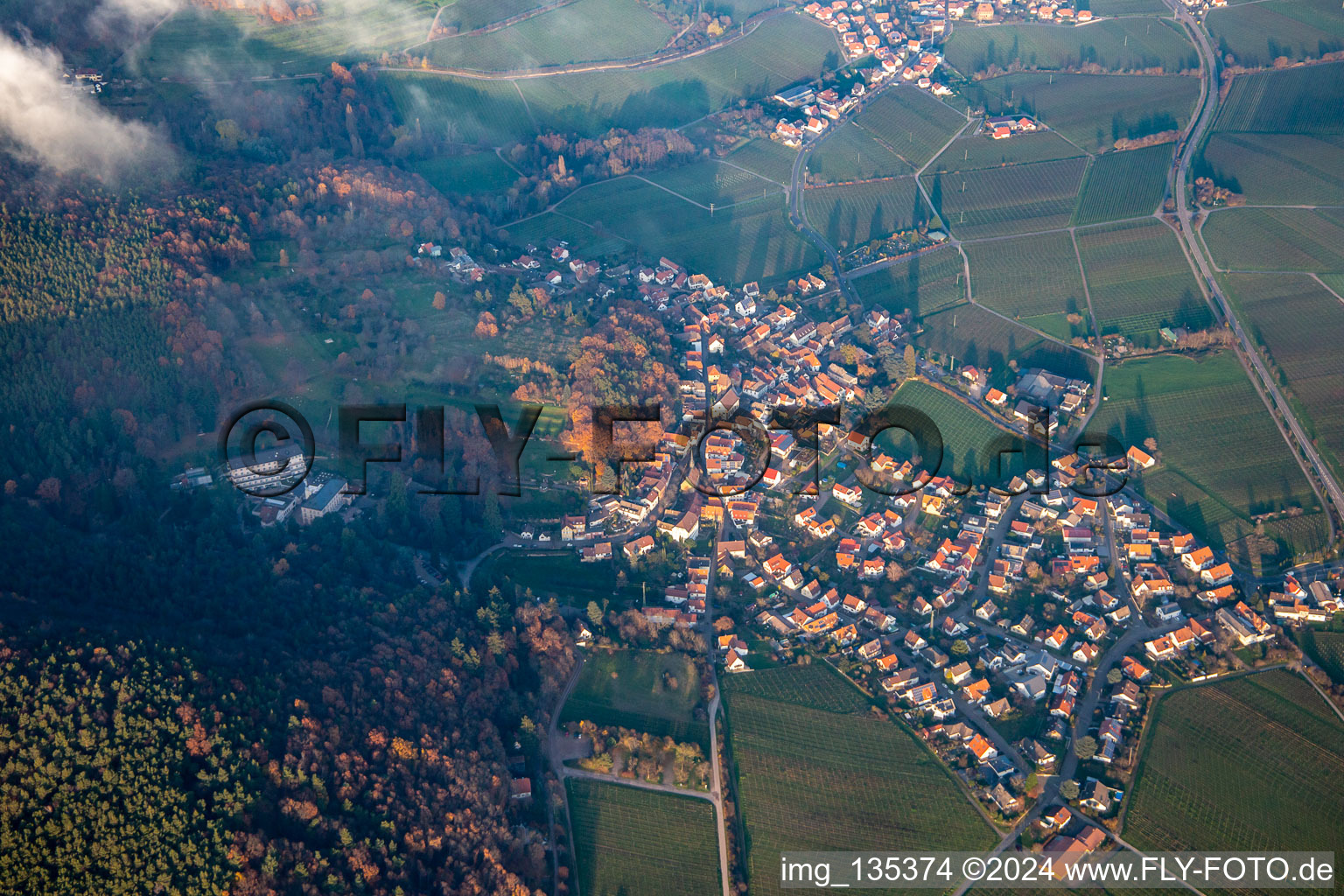 Vue aérienne de Du sud-ouest à Frankweiler dans le département Rhénanie-Palatinat, Allemagne