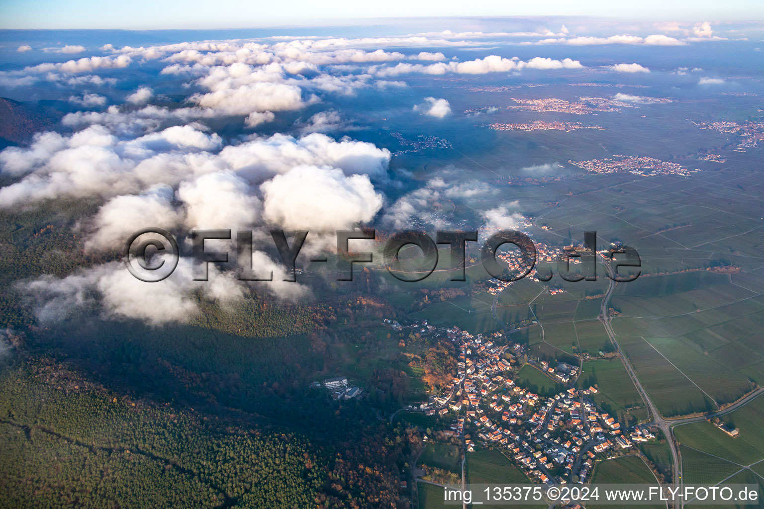 Frankweiler dans le département Rhénanie-Palatinat, Allemagne d'en haut