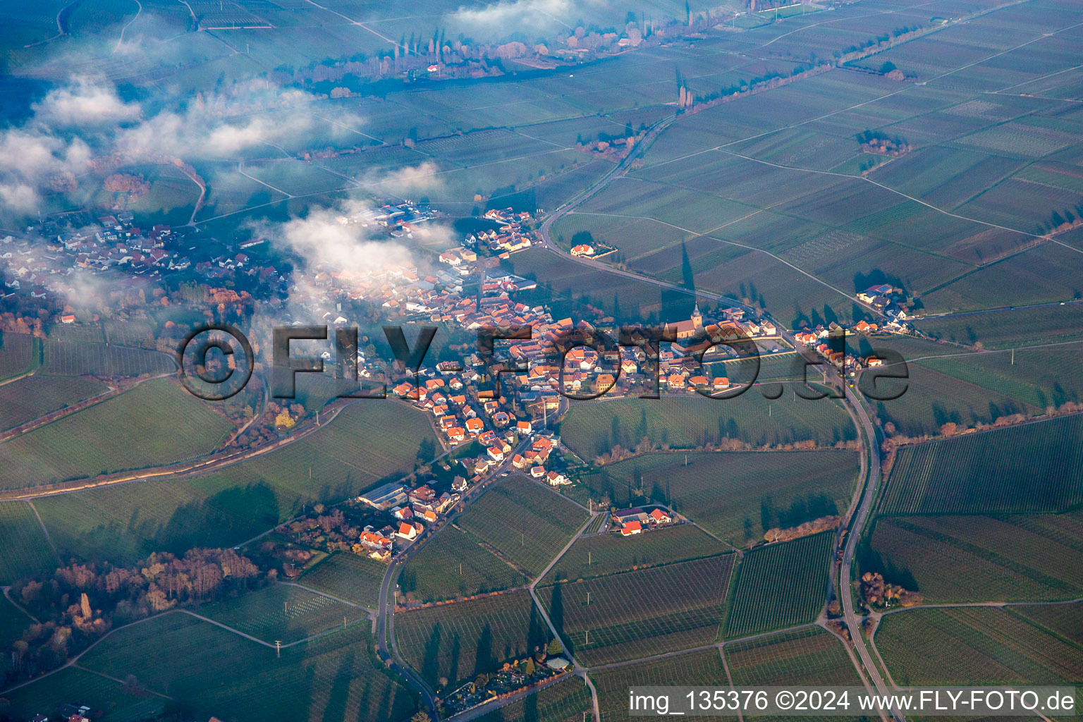 Vue aérienne de Du sud à Burrweiler dans le département Rhénanie-Palatinat, Allemagne