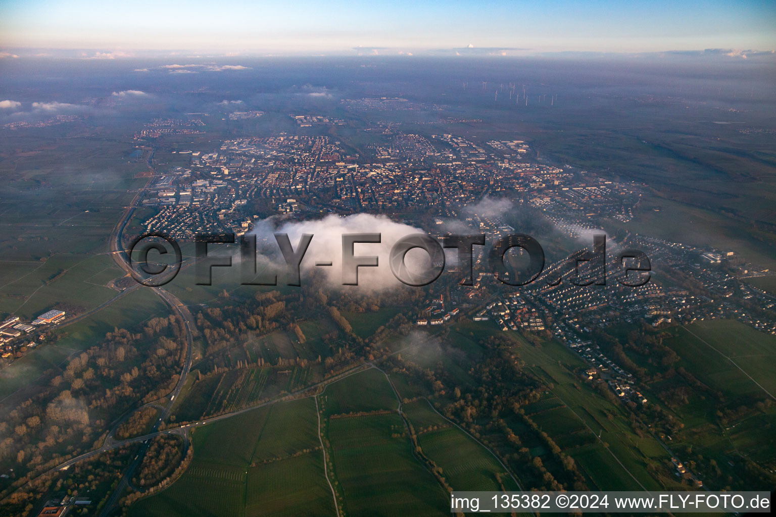 Photographie aérienne de Landau in der Pfalz dans le département Rhénanie-Palatinat, Allemagne