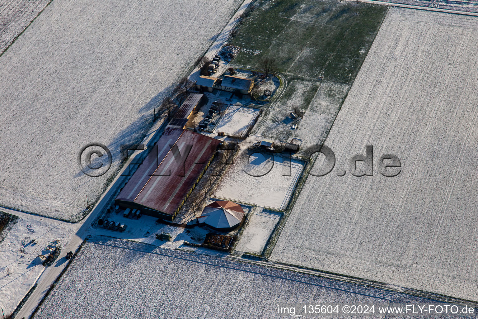 Vue aérienne de Centre équestre de Fohlenhof en hiver avec de la neige à Steinweiler dans le département Rhénanie-Palatinat, Allemagne