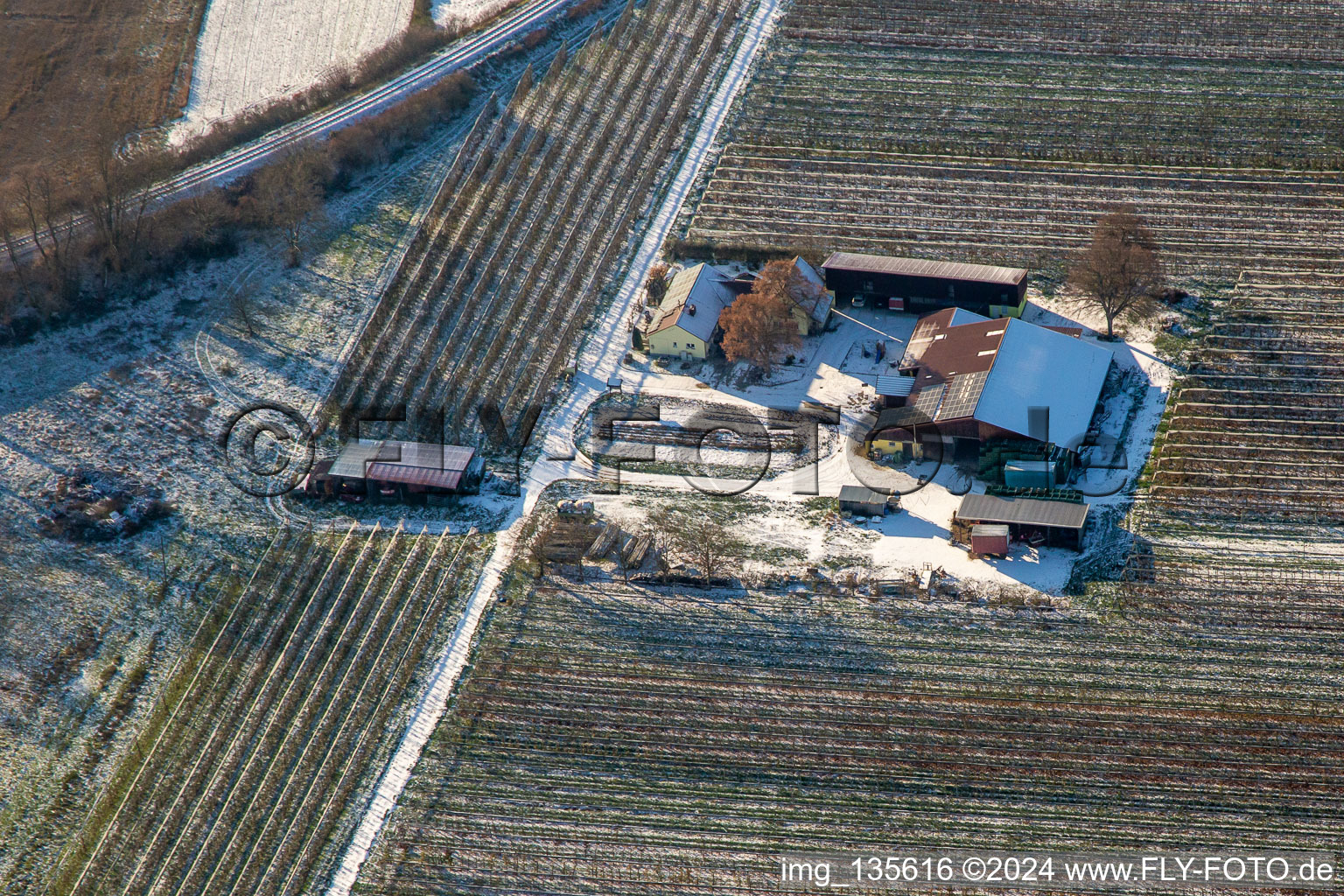 Vue aérienne de Asperges et ferme fruitière de Gensheimer en hiver avec de la neige à Steinweiler dans le département Rhénanie-Palatinat, Allemagne