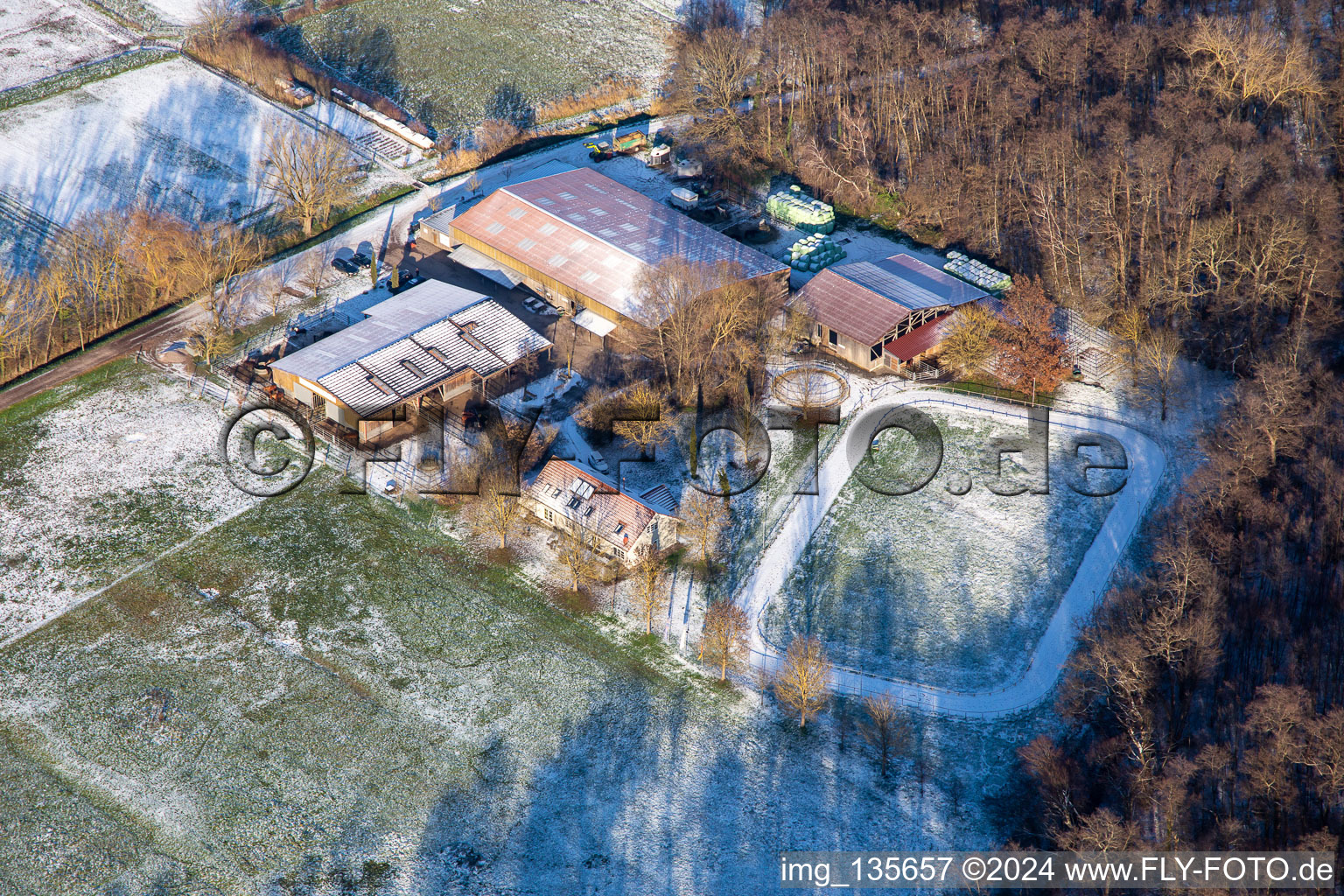 Vue aérienne de Haras islandais Bienwald en hiver avec de la neige à Freckenfeld dans le département Rhénanie-Palatinat, Allemagne