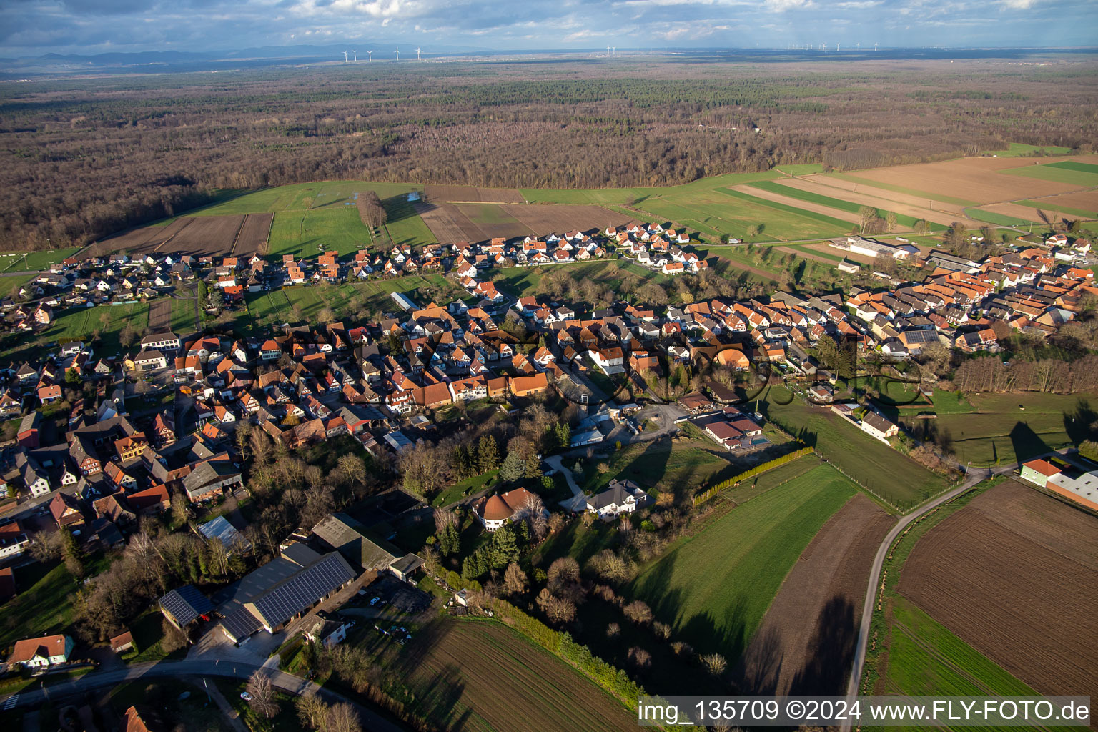 Photographie aérienne de Niederlauterbach dans le département Bas Rhin, France