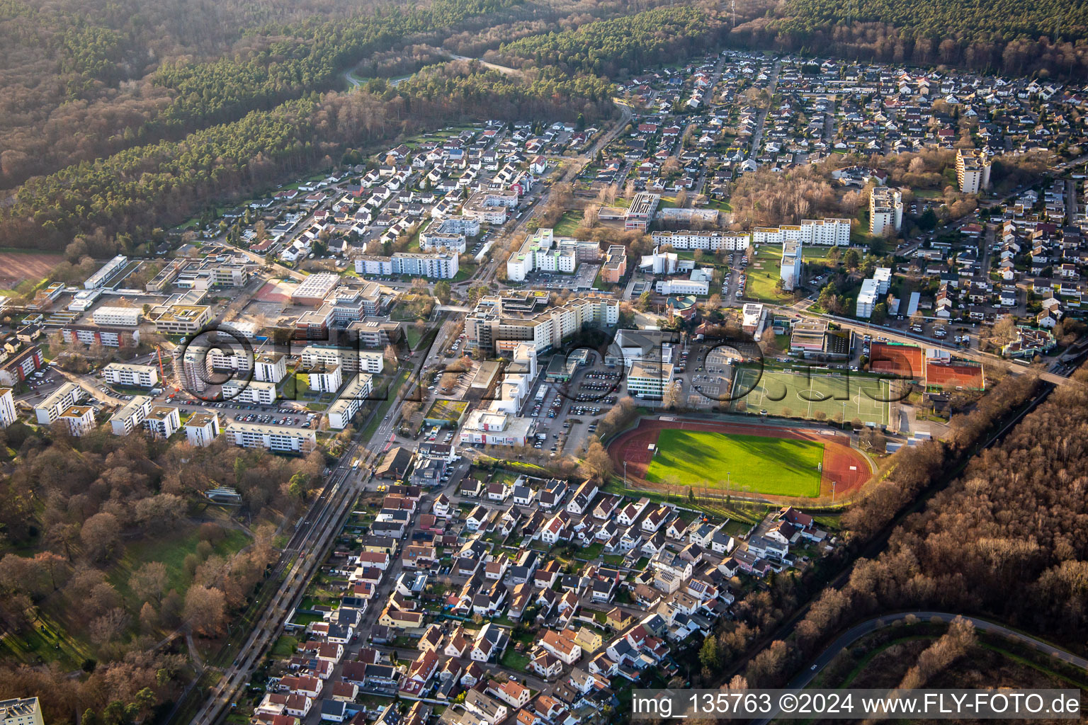 Vue aérienne de Dorschberg, Hans-Martin-Schleyer-Strasse à Wörth am Rhein dans le département Rhénanie-Palatinat, Allemagne