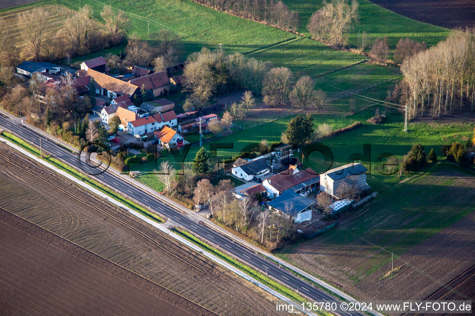 Vue aérienne de Höfen à le quartier Minderslachen in Kandel dans le département Rhénanie-Palatinat, Allemagne