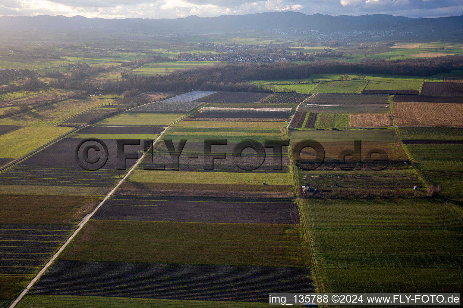 Quartier Mühlhofen in Billigheim-Ingenheim dans le département Rhénanie-Palatinat, Allemagne du point de vue du drone