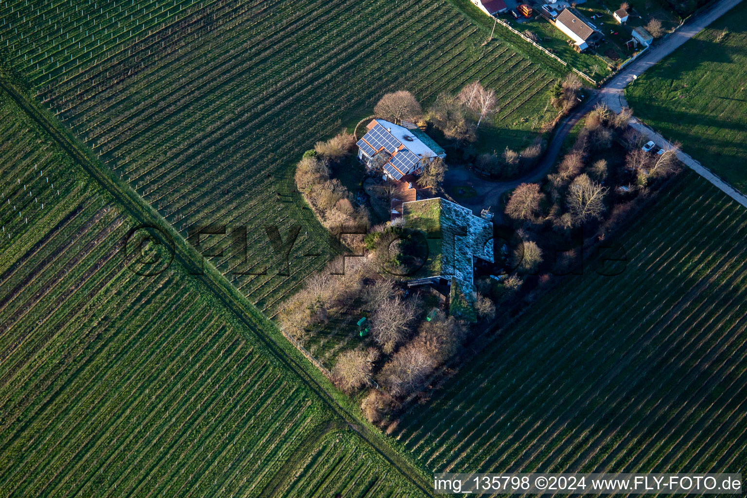 Vue aérienne de BiolandViticulture sous toit d'herbe à le quartier Wollmesheim in Landau in der Pfalz dans le département Rhénanie-Palatinat, Allemagne