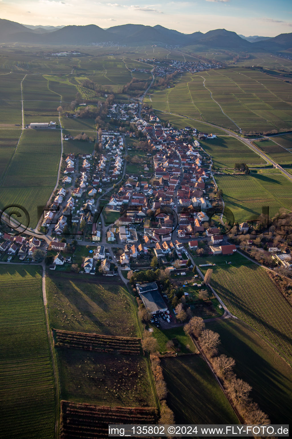 Vue aérienne de De l'est à le quartier Wollmesheim in Landau in der Pfalz dans le département Rhénanie-Palatinat, Allemagne