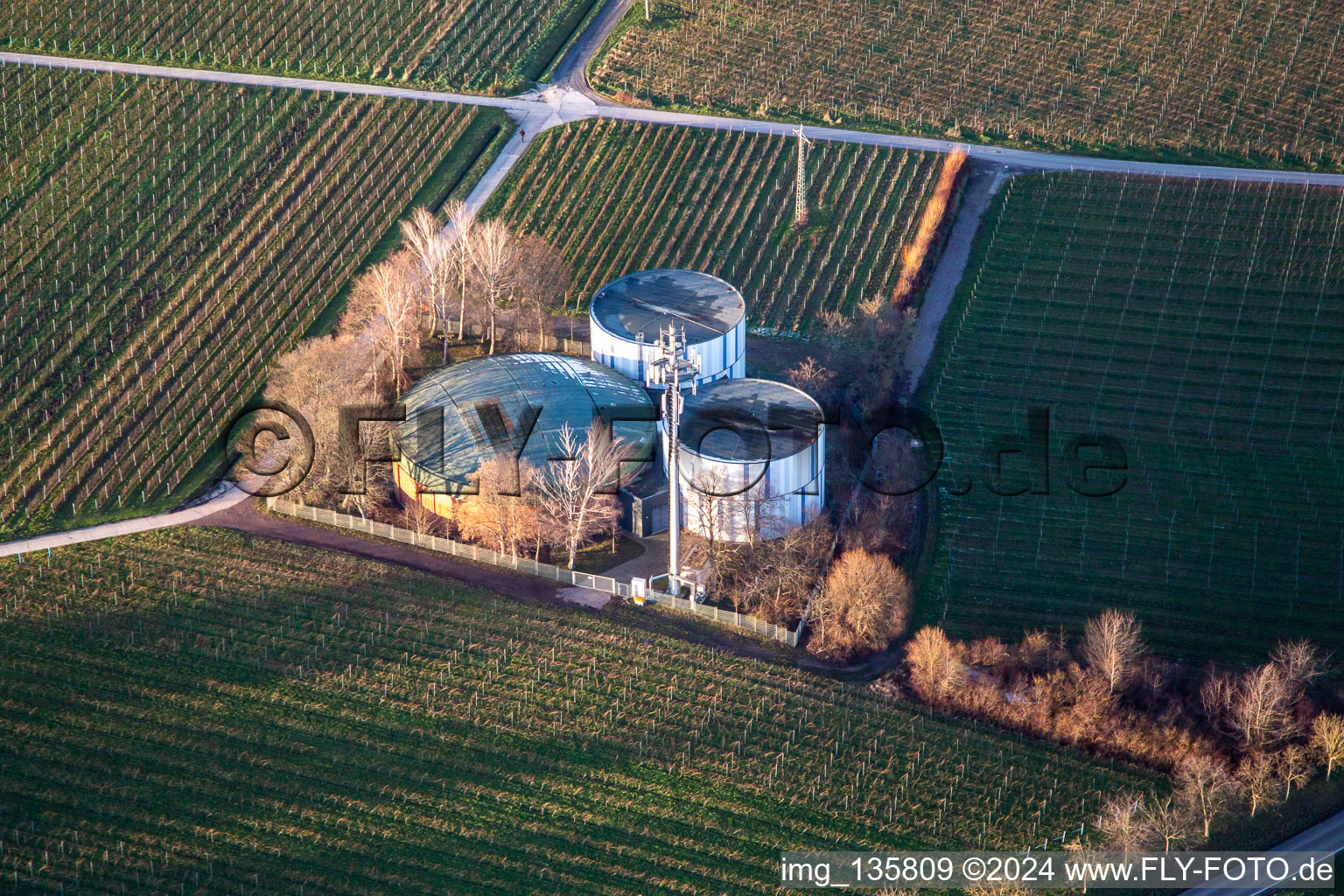 Vue aérienne de Stockage d'eau potable dans les vignes à le quartier Arzheim in Landau in der Pfalz dans le département Rhénanie-Palatinat, Allemagne