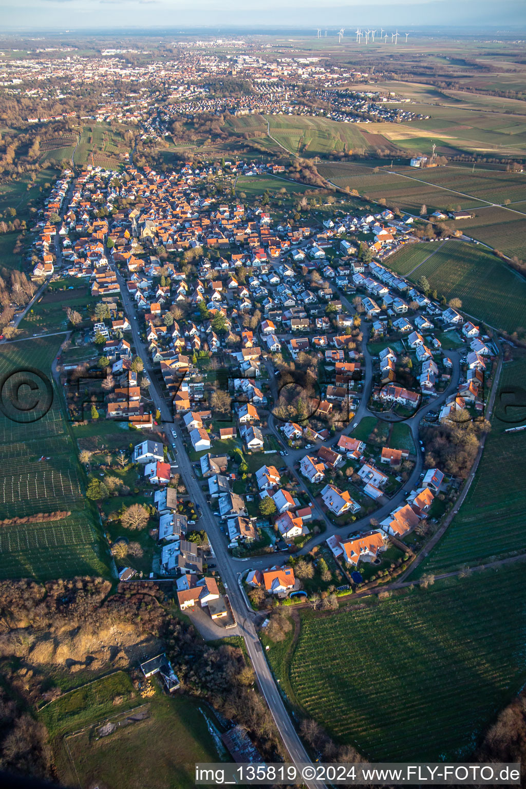 Vue aérienne de De l'ouest à le quartier Arzheim in Landau in der Pfalz dans le département Rhénanie-Palatinat, Allemagne