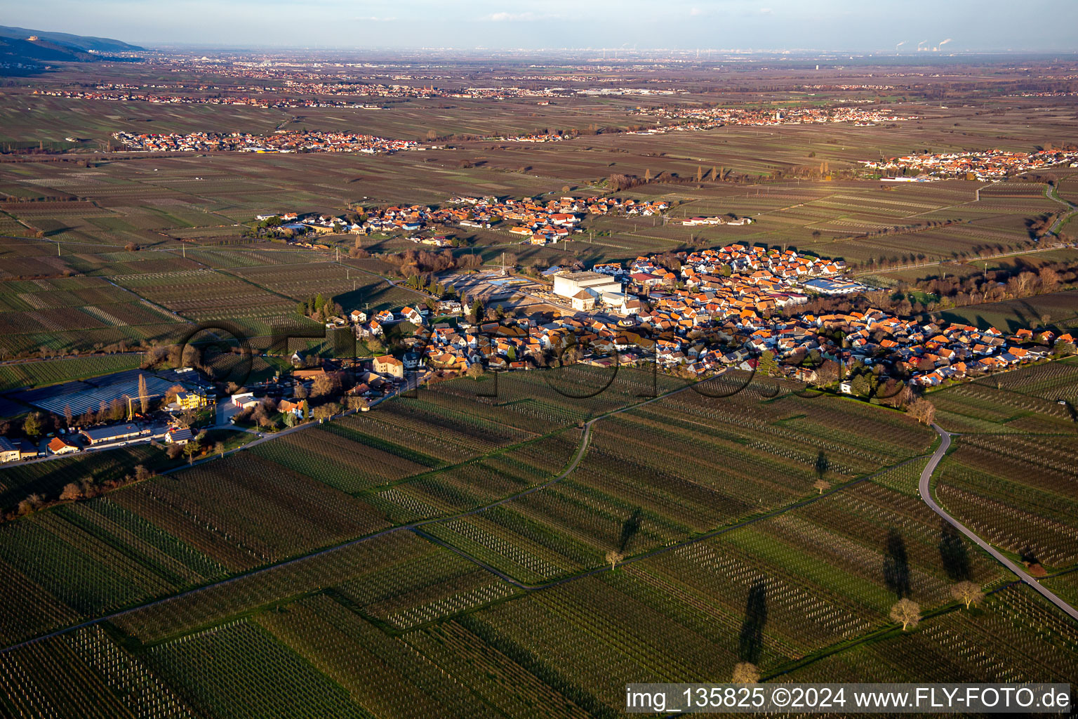 Vue aérienne de Du sud-ouest à Böchingen dans le département Rhénanie-Palatinat, Allemagne