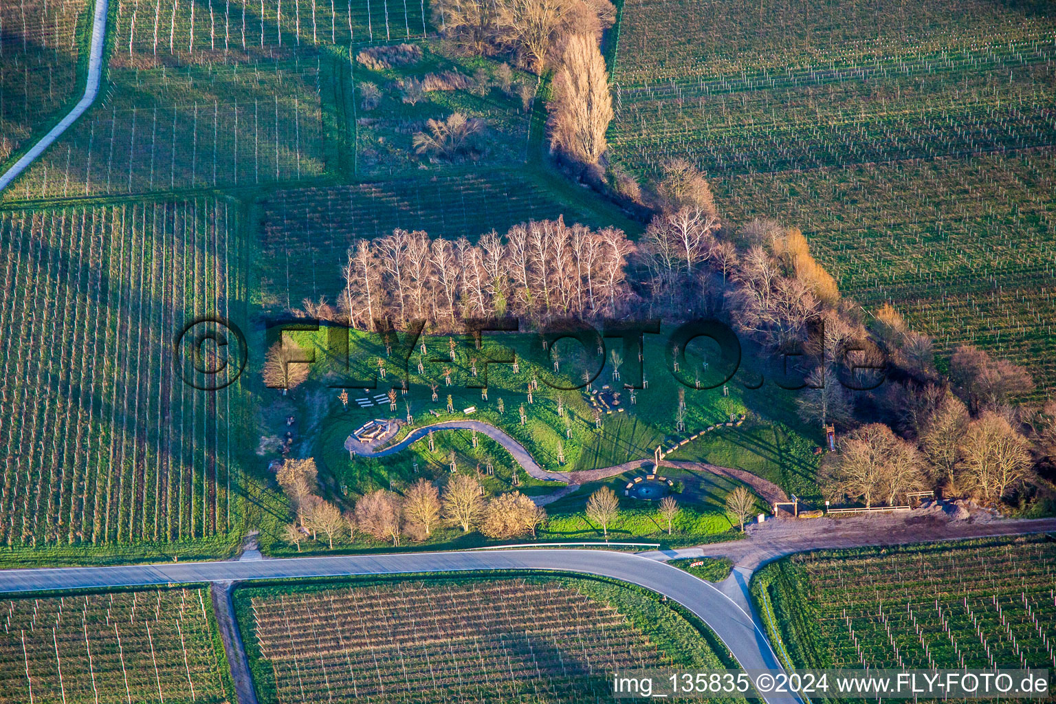 Vue aérienne de Climat ARBORETUM à Flemlingen dans le département Rhénanie-Palatinat, Allemagne