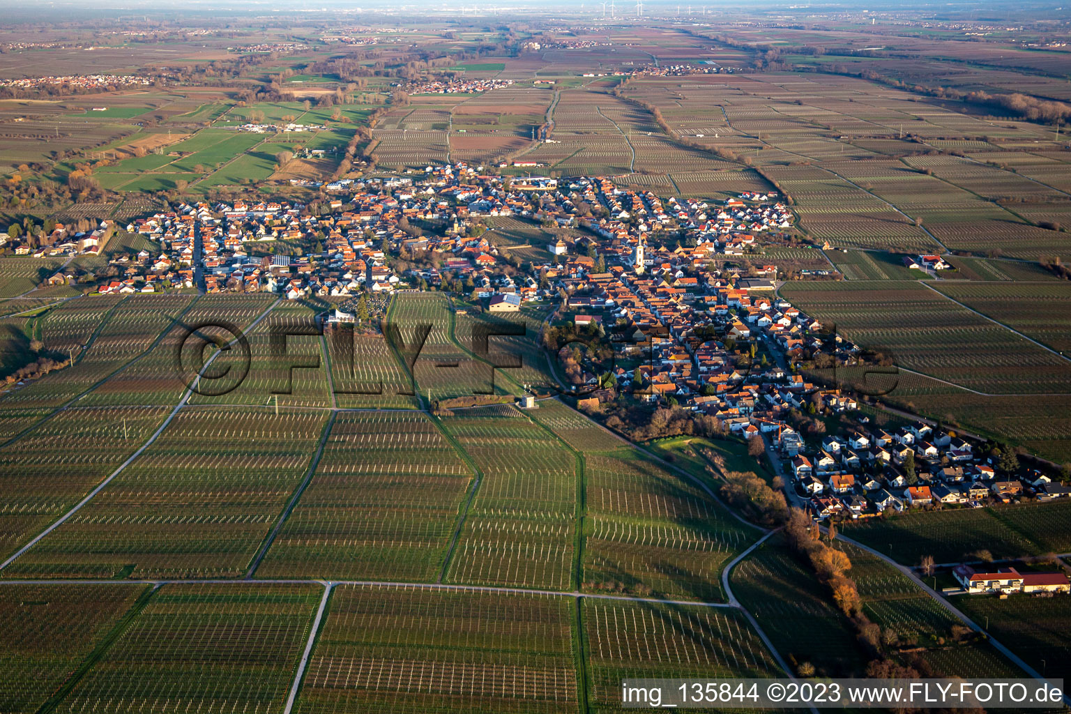 Vue aérienne de De l'ouest à Edesheim dans le département Rhénanie-Palatinat, Allemagne