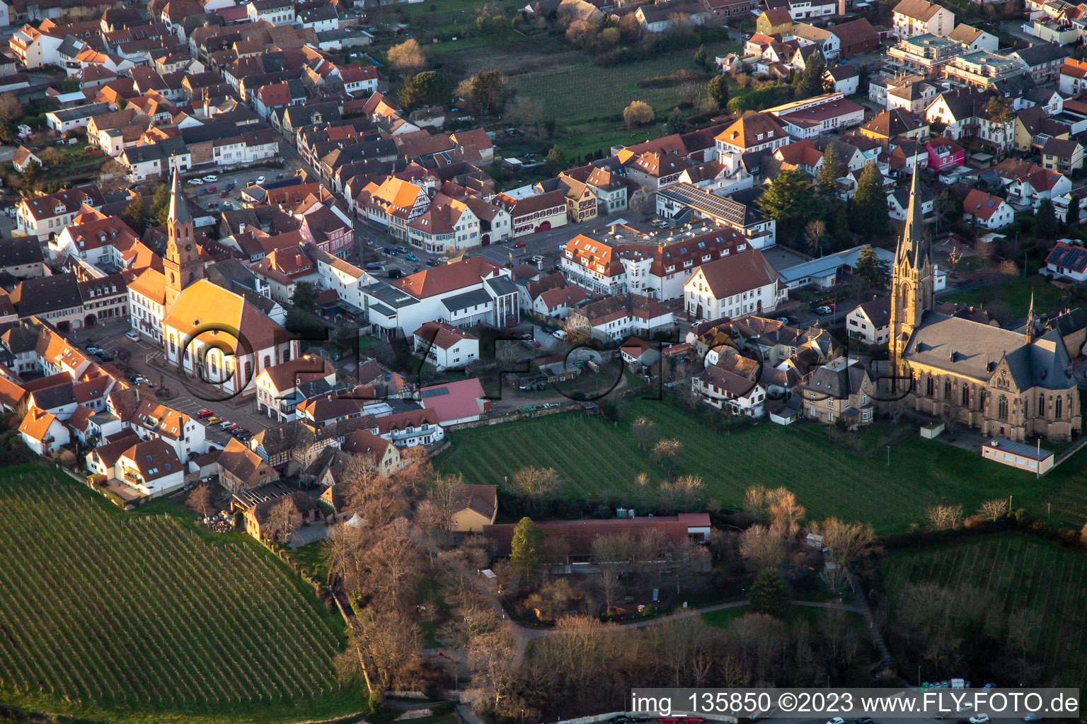 Vue aérienne de Église protestante. Église catholique Saint-Louis à Edenkoben dans le département Rhénanie-Palatinat, Allemagne