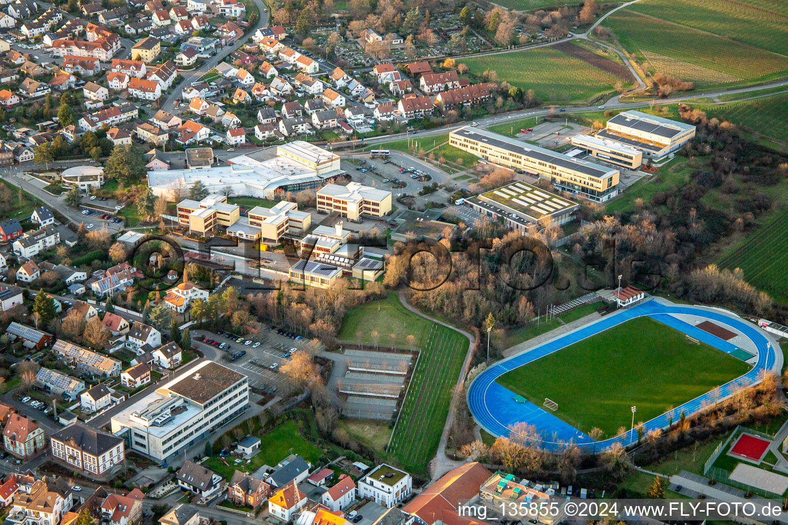 Vue aérienne de Paul-Gillet-Realschule plus, Weinstrasse ; Lycée et grande salle de sport Edenkoben à Edenkoben dans le département Rhénanie-Palatinat, Allemagne