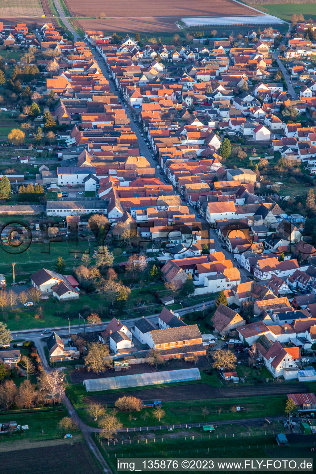 Vue aérienne de Rue Haupt à Gommersheim dans le département Rhénanie-Palatinat, Allemagne