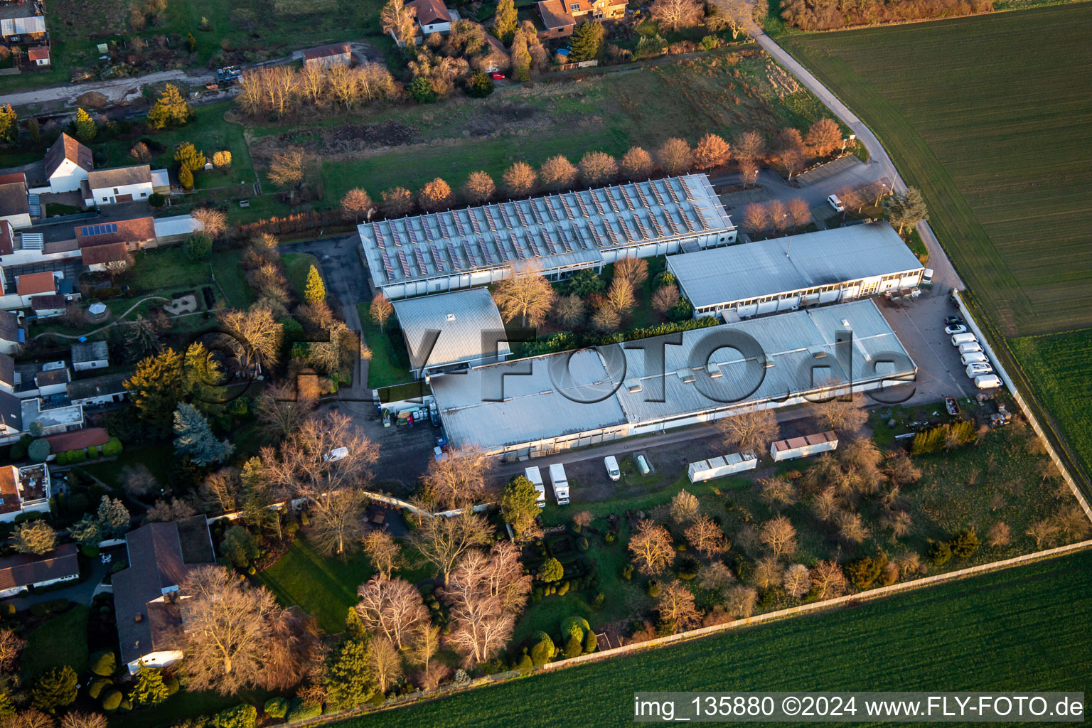 Vue aérienne de Pissenlit de pâtisserie biologique; Vente d'entrepôt de meubles rembourrés à Gommersheim dans le département Rhénanie-Palatinat, Allemagne