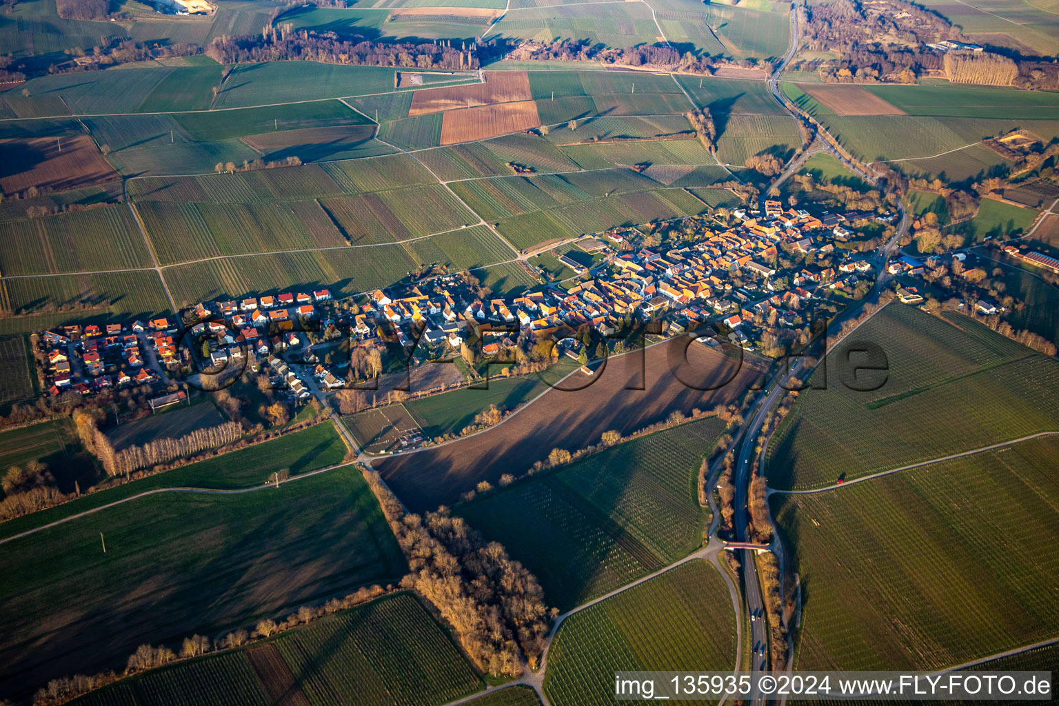 Vue aérienne de Du sud-ouest à Niederhorbach dans le département Rhénanie-Palatinat, Allemagne