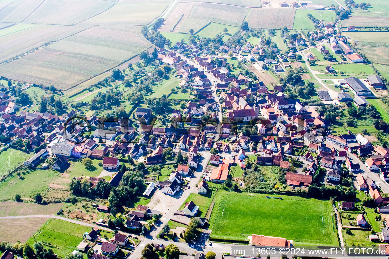 Vue oblique de Champs agricoles et surfaces utilisables à Riedseltz dans le département Bas Rhin, France