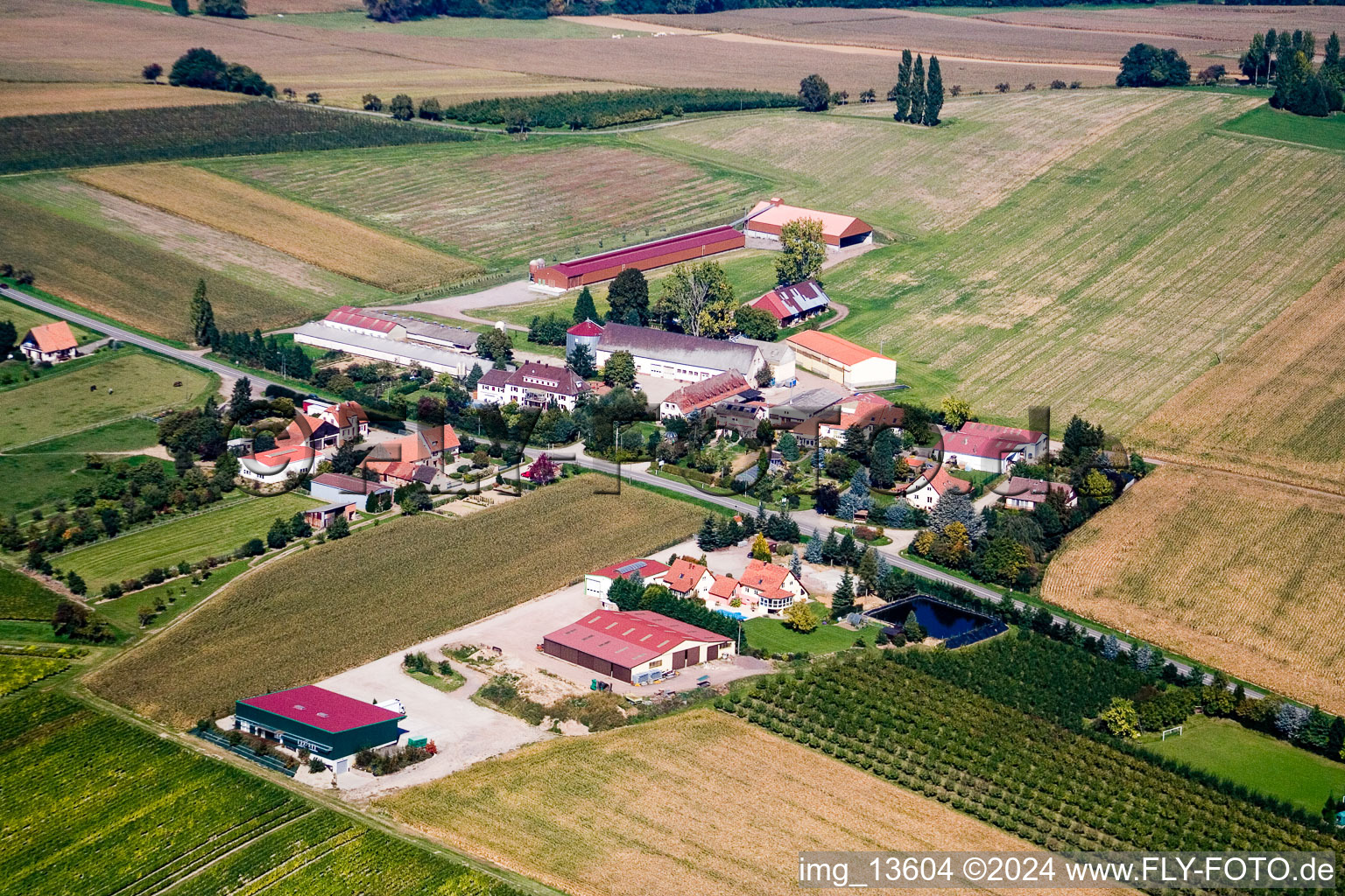 Vue aérienne de Geisberg à Riedseltz à Riedseltz dans le département Bas Rhin, France