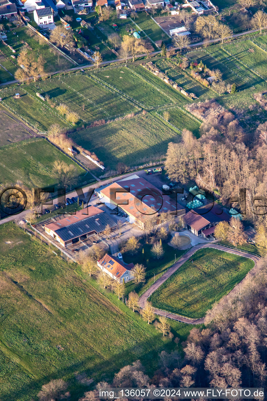 Vue aérienne de Haras d'Islande Bienwald à Freckenfeld dans le département Rhénanie-Palatinat, Allemagne