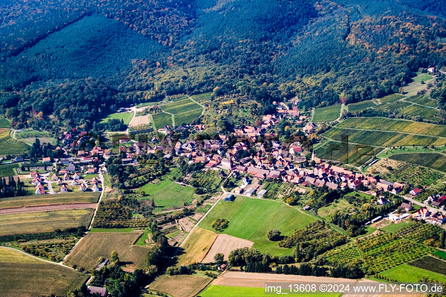 Photographie aérienne de Rott dans le département Bas Rhin, France