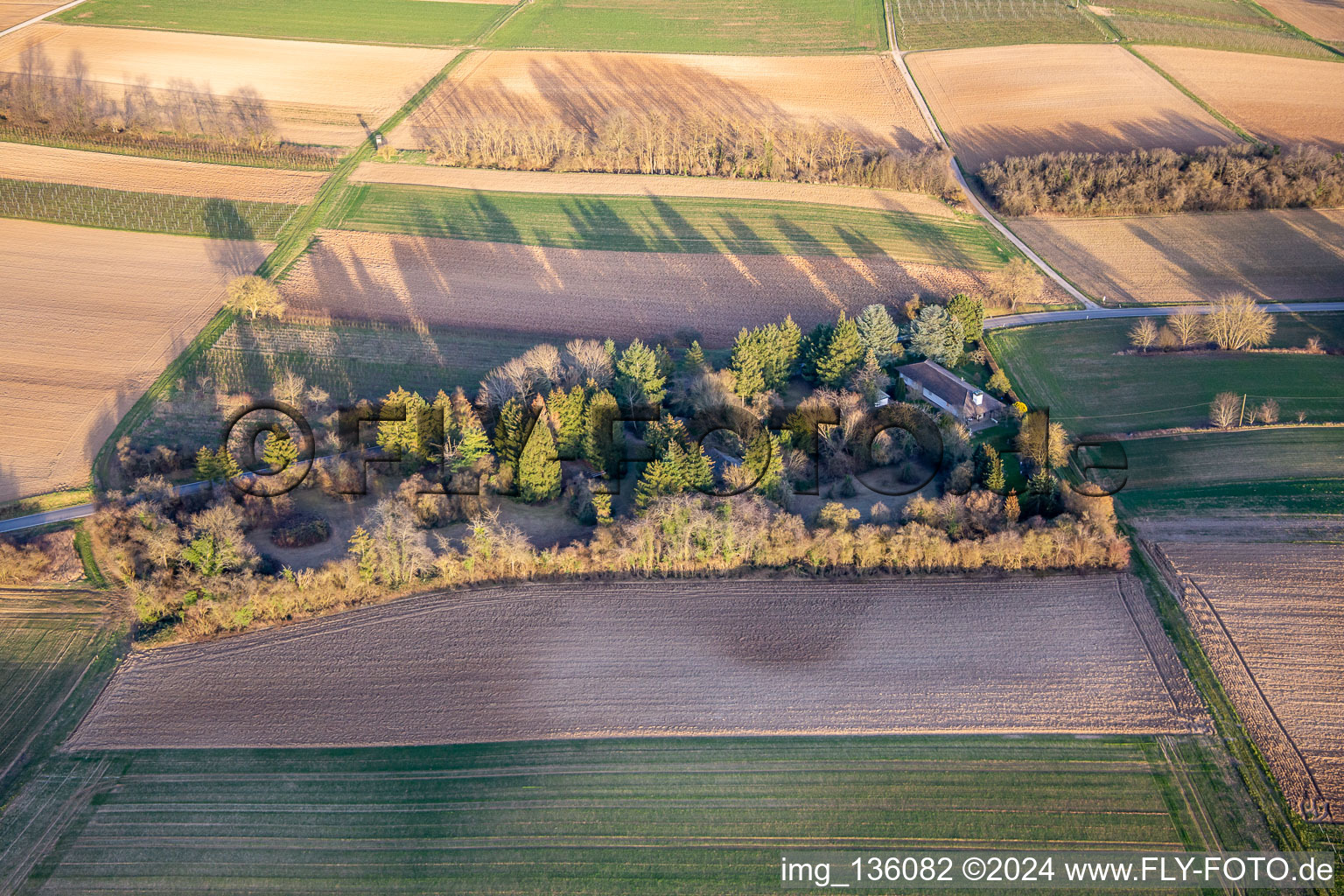 Vue aérienne de Un joyau dans le parc de la Dierbacherstr à Vollmersweiler dans le département Rhénanie-Palatinat, Allemagne