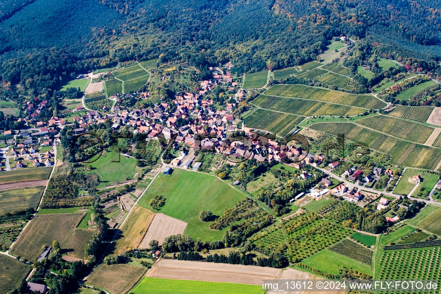 Vue oblique de Rott dans le département Bas Rhin, France