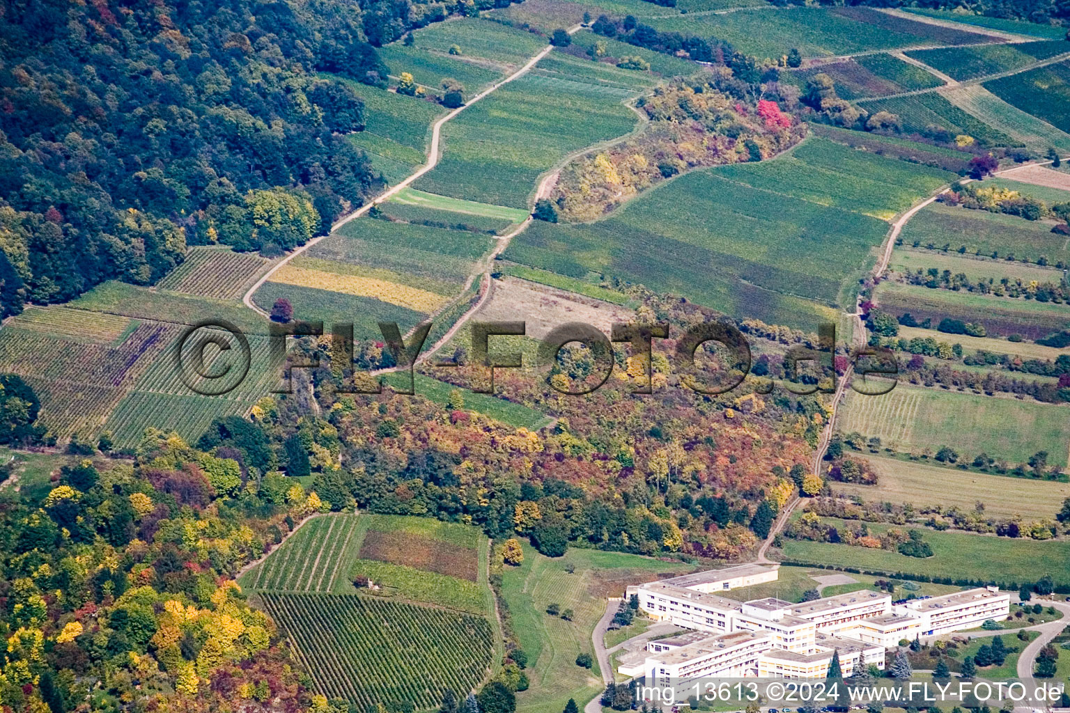 Vue aérienne de Sonnenberg après le silence à Wissembourg dans le département Bas Rhin, France