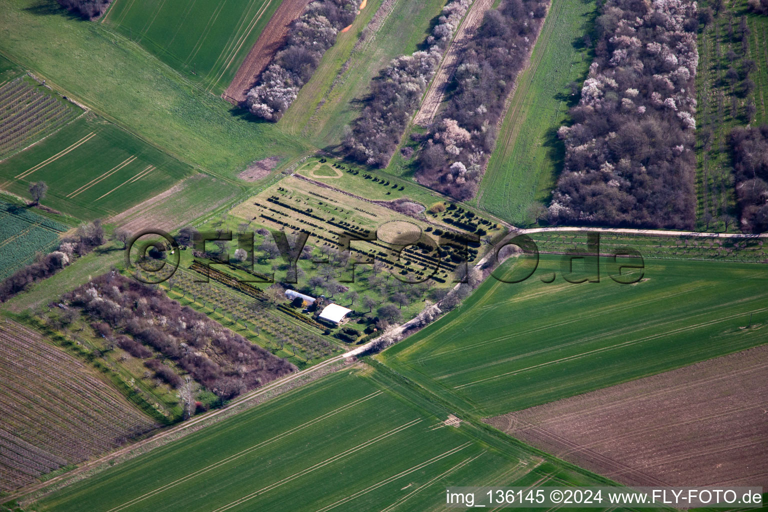 Vue aérienne de Nursery à Schweighofen dans le département Rhénanie-Palatinat, Allemagne