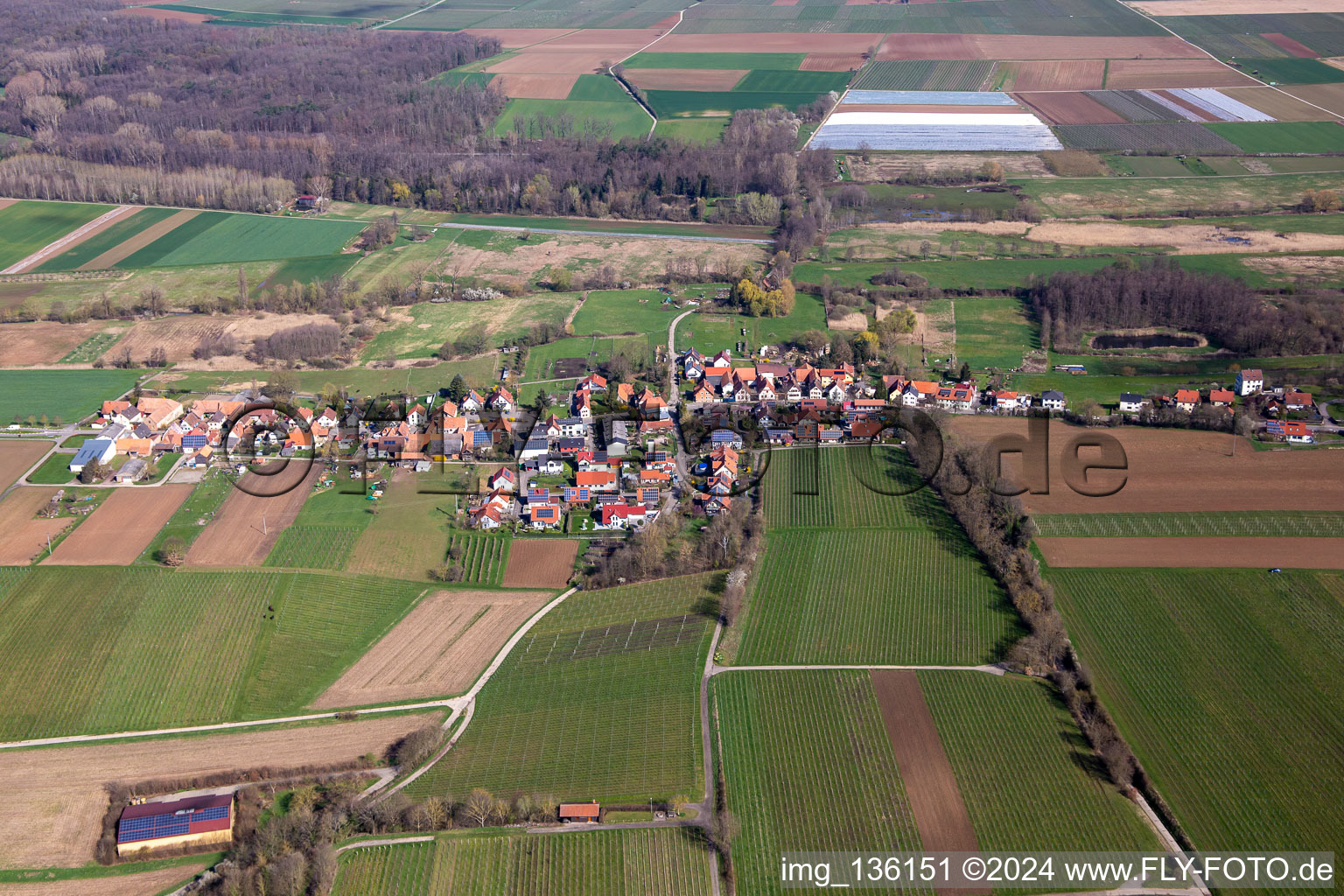 Vue aérienne de Du sud à Hergersweiler dans le département Rhénanie-Palatinat, Allemagne