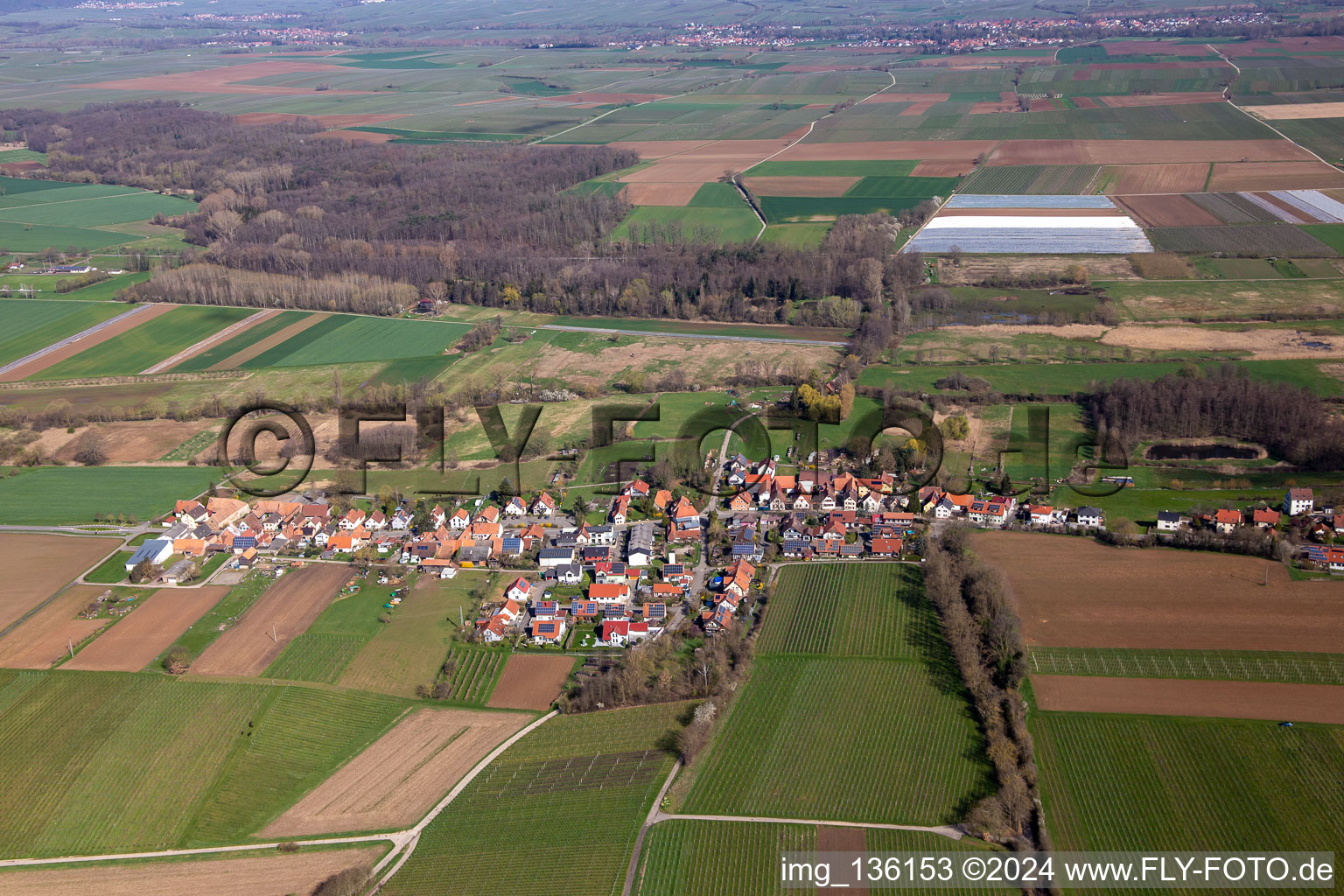 Vue aérienne de Du sud à Hergersweiler dans le département Rhénanie-Palatinat, Allemagne