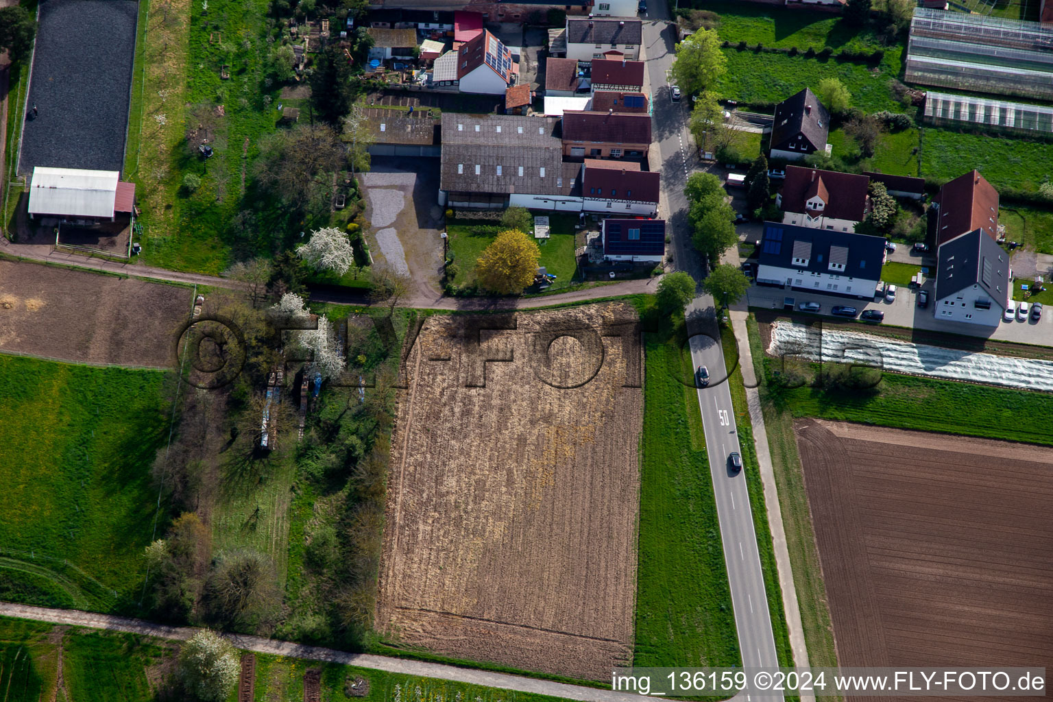 Vue oblique de Installation équestre au cimetière à Winden dans le département Rhénanie-Palatinat, Allemagne