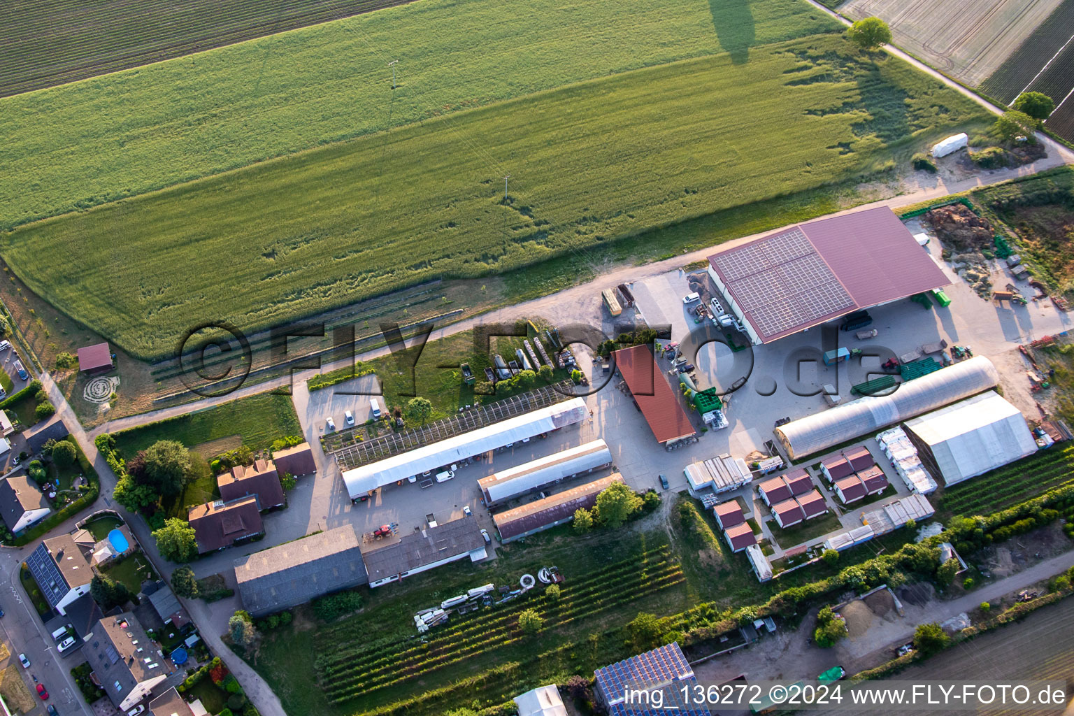 Vue oblique de Ferme biologique Kugelmann à Kandel dans le département Rhénanie-Palatinat, Allemagne