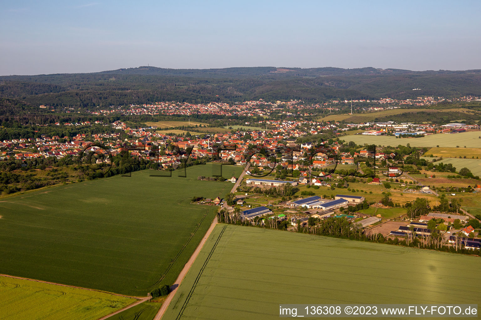 Vue aérienne de Herzfeldweg à le quartier Rieder in Ballenstedt dans le département Saxe-Anhalt, Allemagne