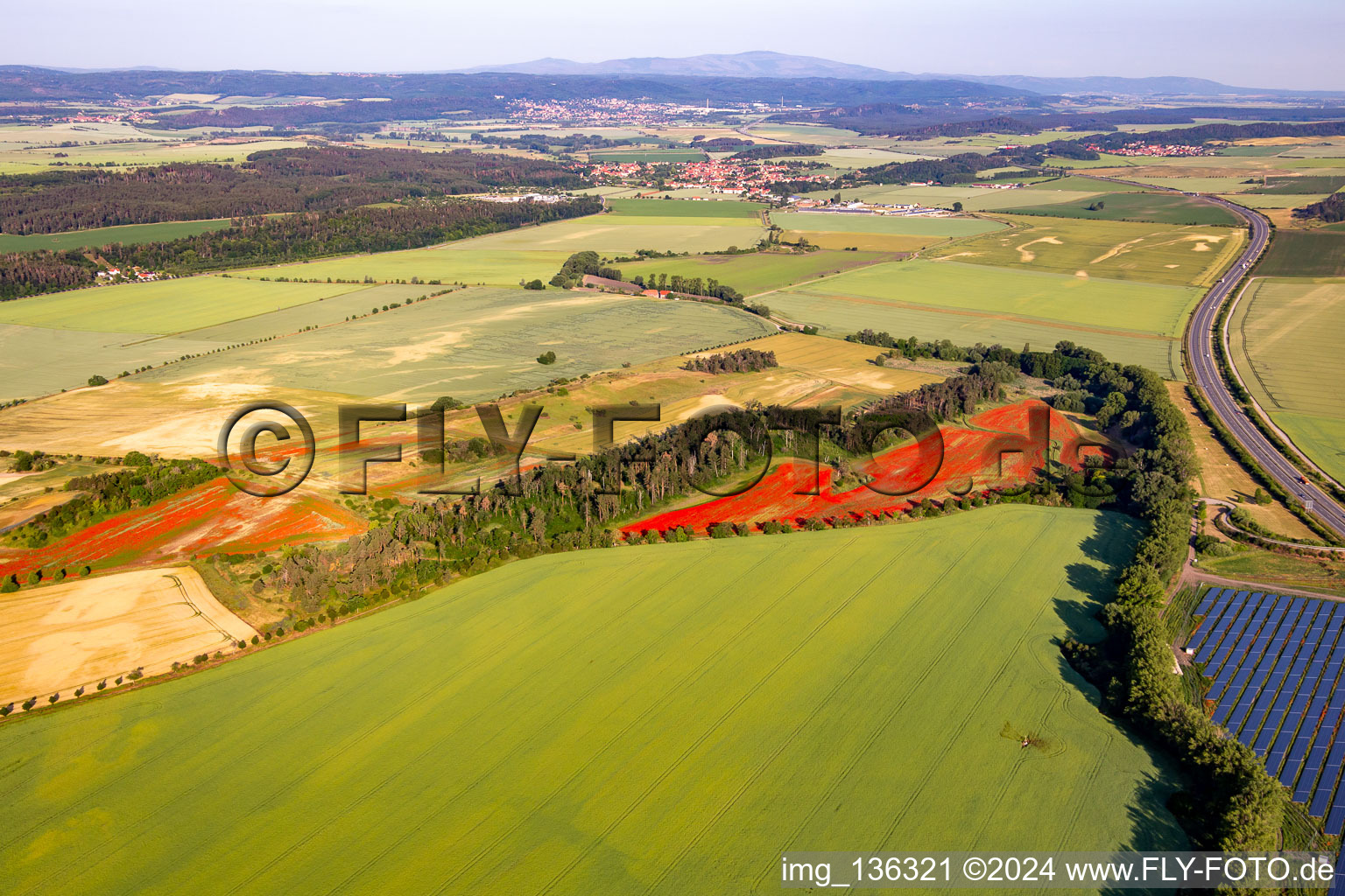 Vue aérienne de Champs de pavot à le quartier Westerhausen in Thale dans le département Saxe-Anhalt, Allemagne