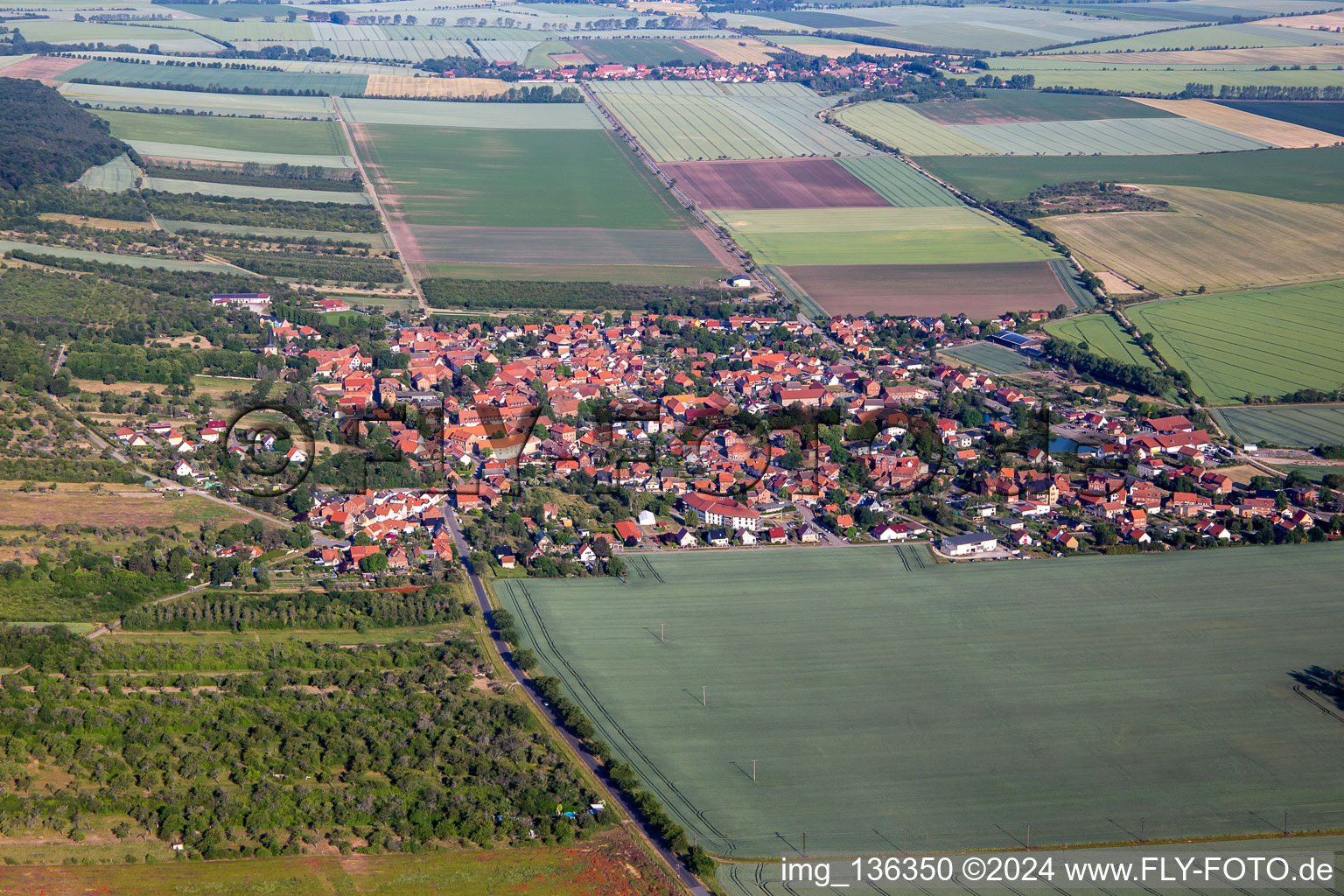 Vue aérienne de Dingelstedt sur Huy depuis le sud-est à le quartier Dingelstedt am Huy in Huy dans le département Saxe-Anhalt, Allemagne