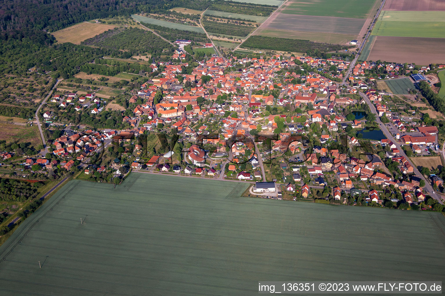 Vue aérienne de De l'est à le quartier Dingelstedt am Huy in Huy dans le département Saxe-Anhalt, Allemagne