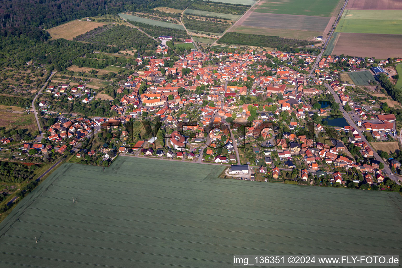 Vue aérienne de Dingelstedt sur Huy depuis l'est à le quartier Dingelstedt am Huy in Huy dans le département Saxe-Anhalt, Allemagne