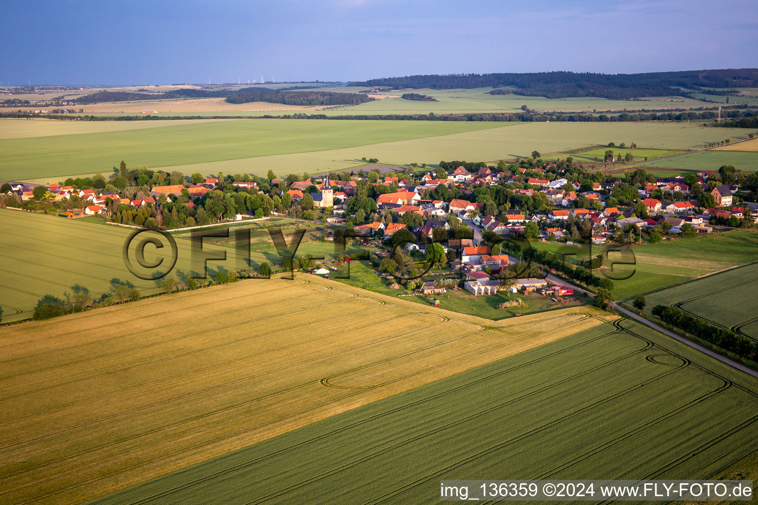 Vue aérienne de Quartier Radisleben in Ballenstedt dans le département Saxe-Anhalt, Allemagne