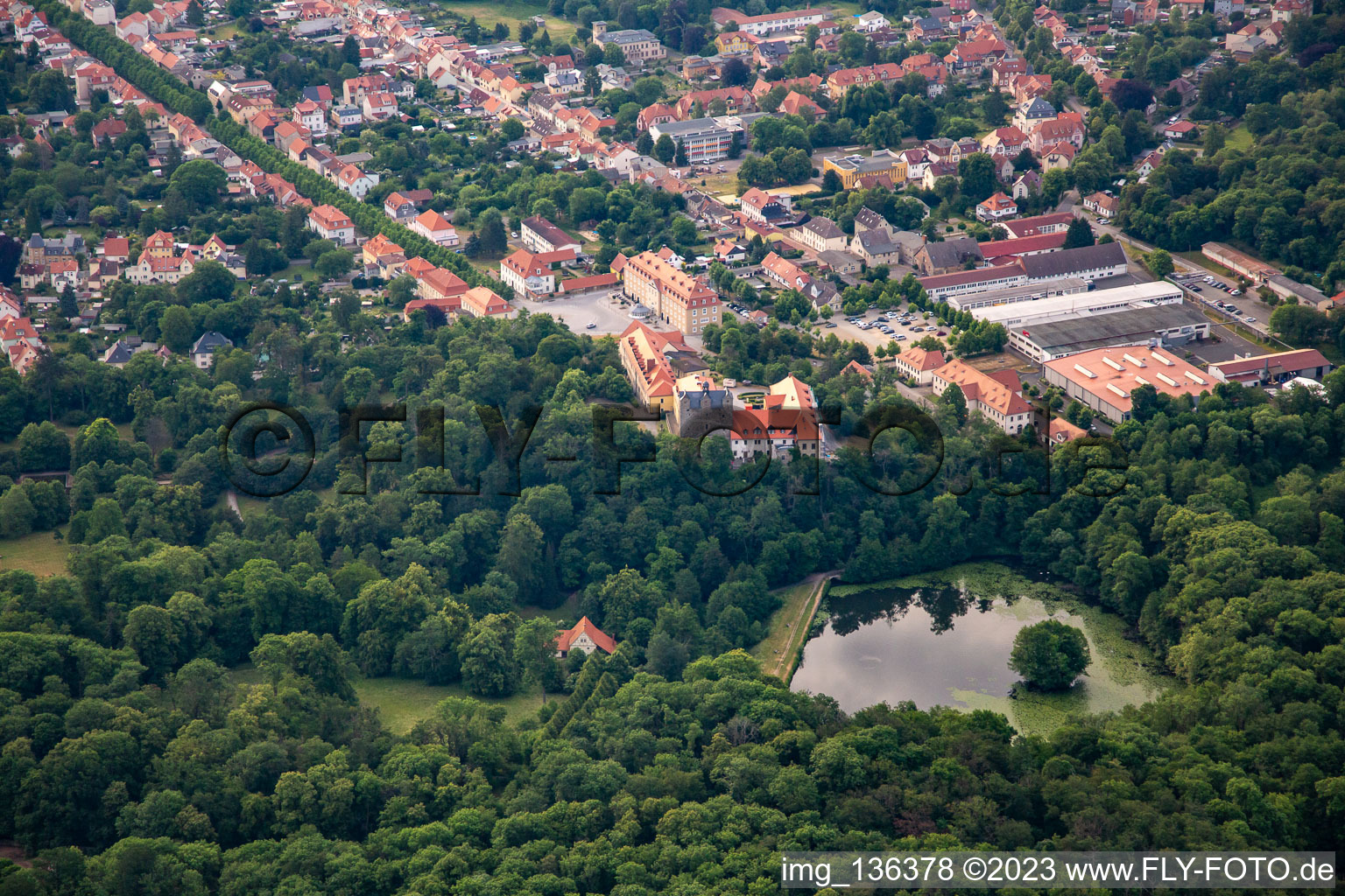 Vue aérienne de Étang du château, château et parc du château Ballenstedt eV à Ballenstedt dans le département Saxe-Anhalt, Allemagne