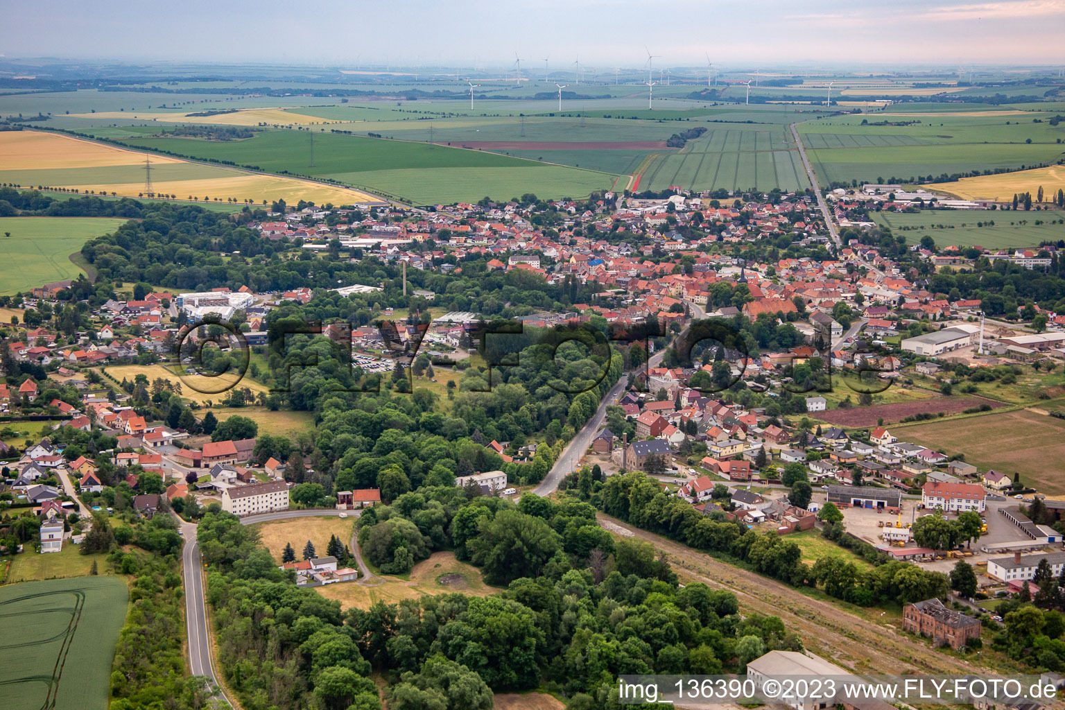 Vue aérienne de Quartier Ermsleben in Falkenstein dans le département Saxe-Anhalt, Allemagne