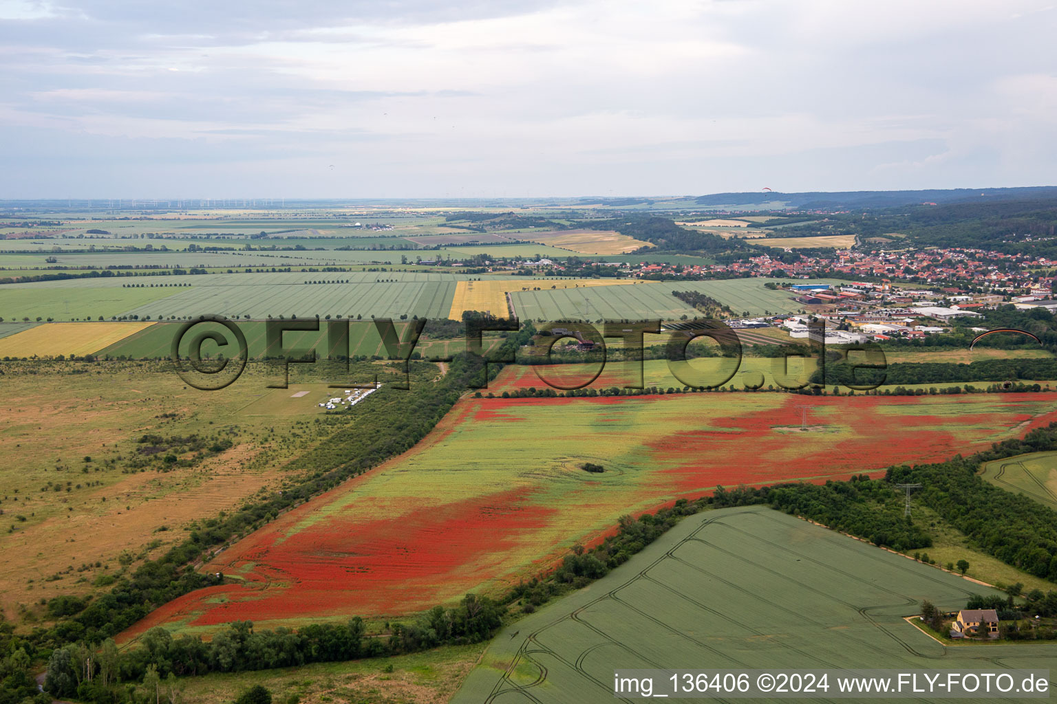 Photographie aérienne de Coquelicots dans les champs de maïs à le quartier Gernrode in Quedlinburg dans le département Saxe-Anhalt, Allemagne