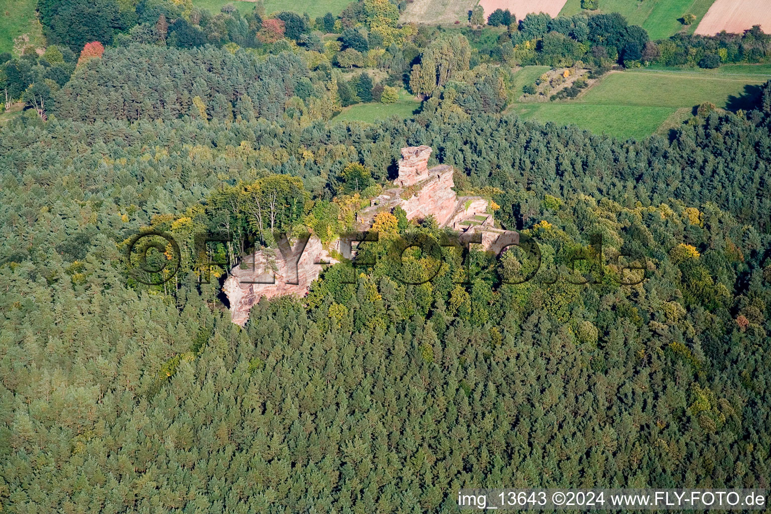 Vue aérienne de Ruines et vestiges de la muraille du château de Drachenfels à Busenberg dans le département Rhénanie-Palatinat, Allemagne