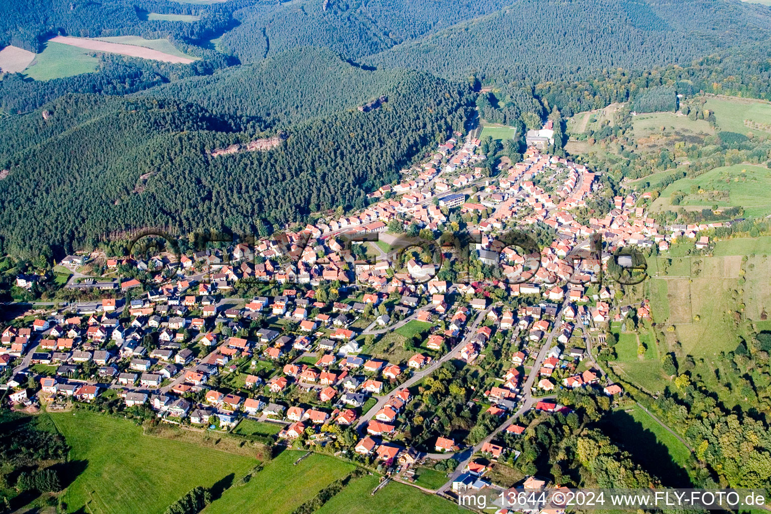 Enregistrement par drone de Busenberg dans le département Rhénanie-Palatinat, Allemagne