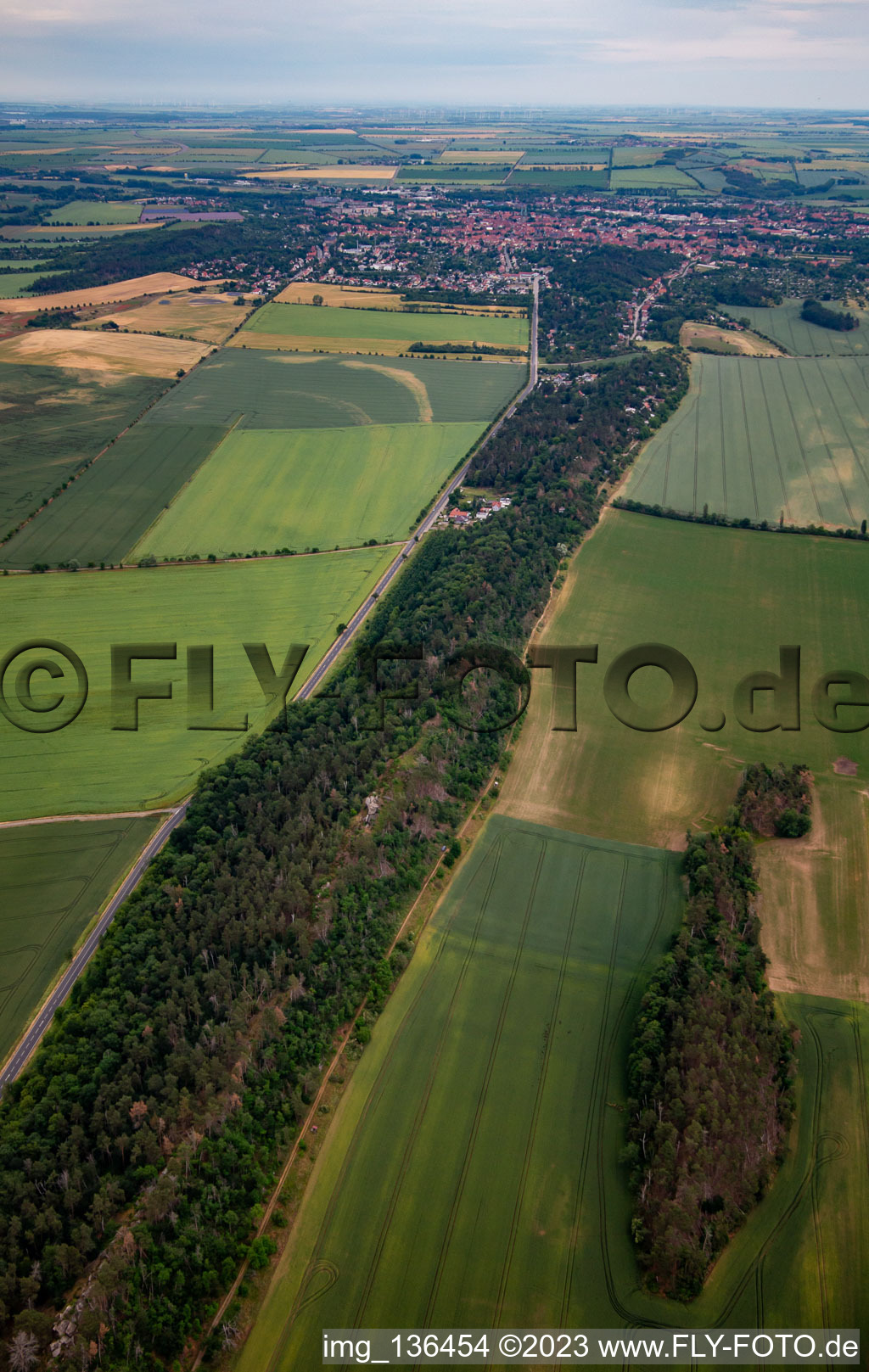 Vue aérienne de Rue Westerhäuser à Quedlinburg dans le département Saxe-Anhalt, Allemagne
