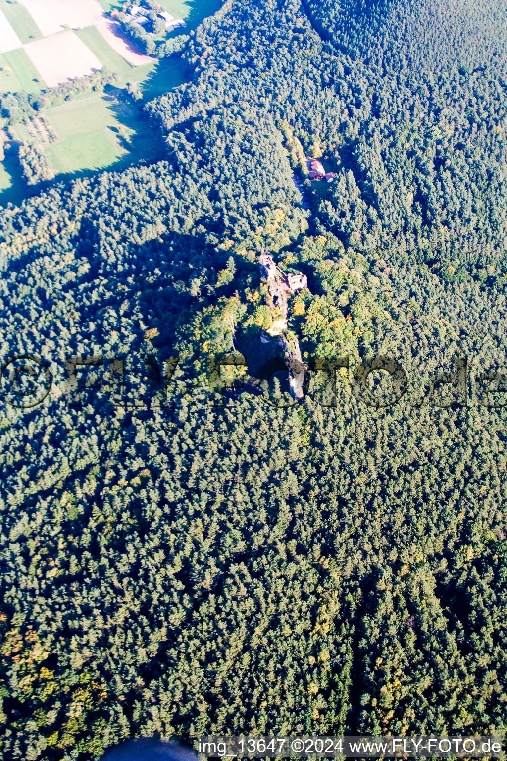 Ruines du château de Drachenfels à Busenberg dans le département Rhénanie-Palatinat, Allemagne vu d'un drone