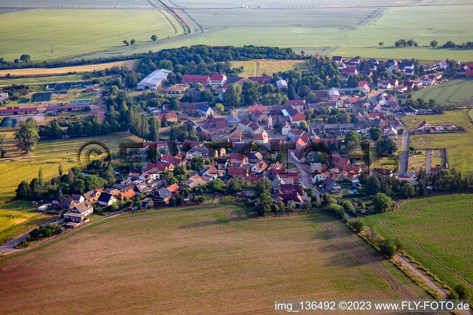 Vue aérienne de Du sud à le quartier Endorf in Falkenstein dans le département Saxe-Anhalt, Allemagne