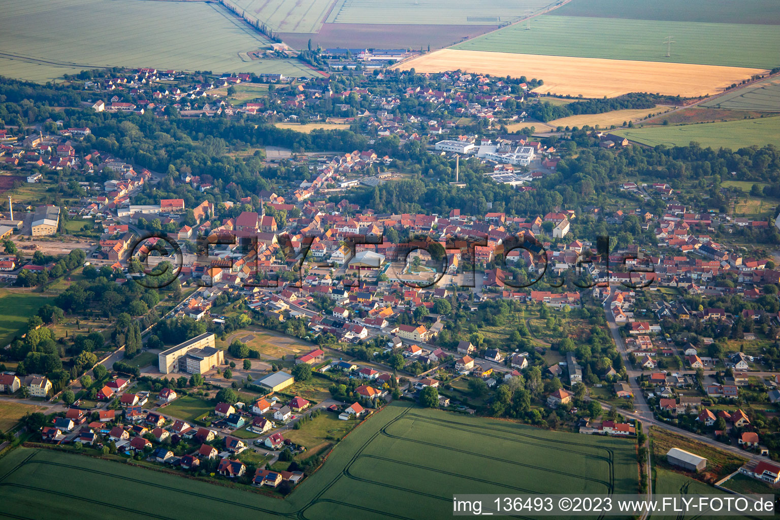 Vue aérienne de Quartier Ermsleben in Falkenstein dans le département Saxe-Anhalt, Allemagne
